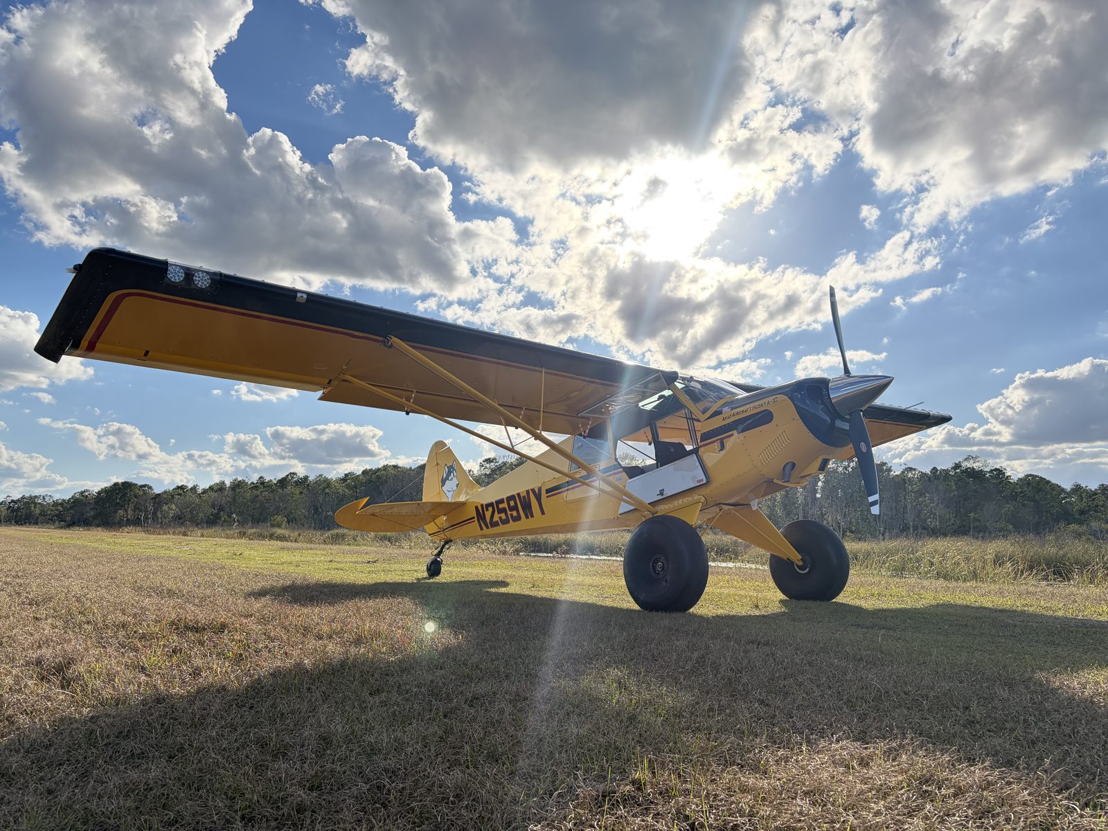 philip shearer gallery photo 1