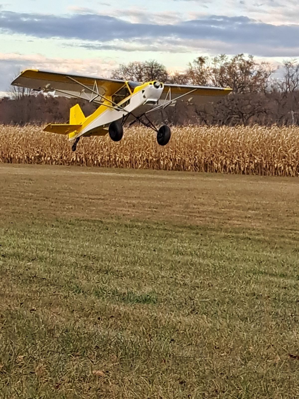 Gary Varga gallery photo 4